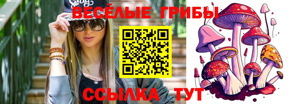 Псилоцибиновые грибы GOLDEN TEACHER  Вход с VPN  Гулькевичи 