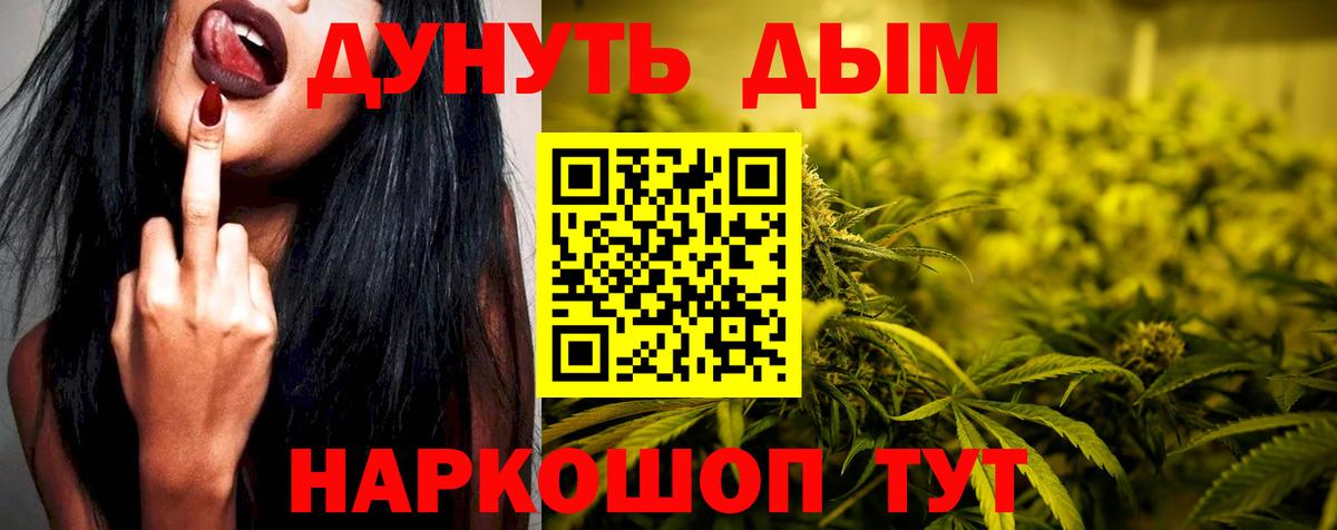 Шишки марихуана марихуана Гулькевичи